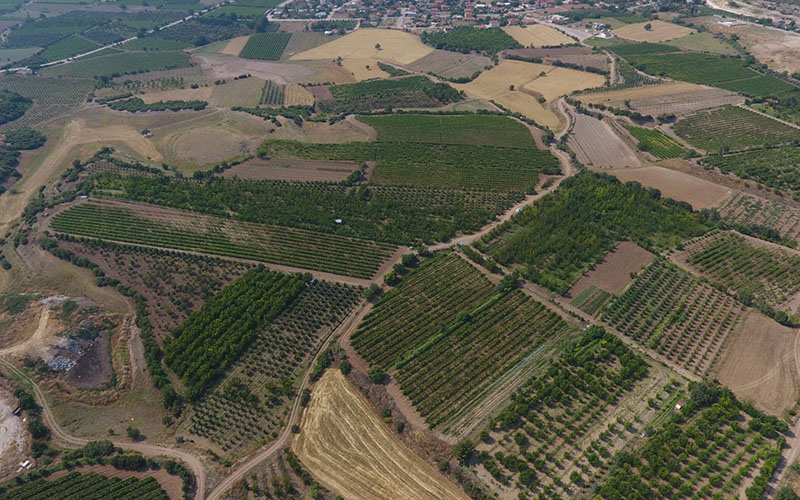Honaz Ovası 2. kısım 18,5 milyon lira yatırımla sulamaya açıldı