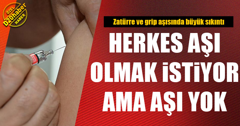 d20haber denizli haberleri herkes asi olmak istiyor ama ne grip asisi var ne de zaturre