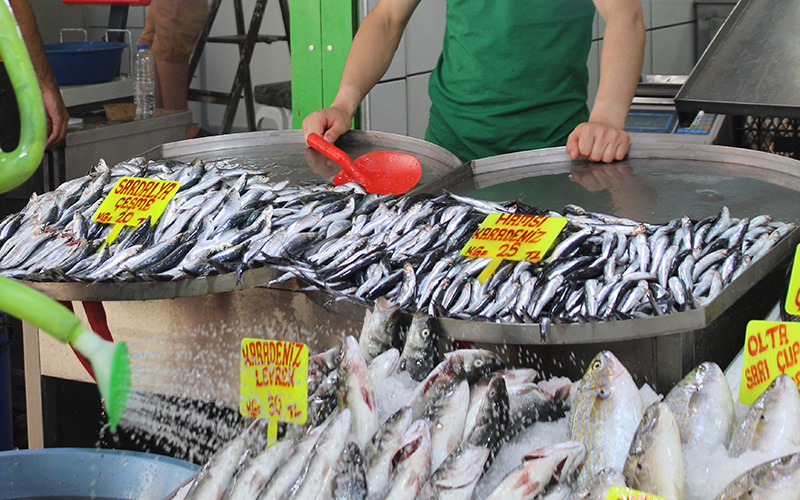Hamsi balık sezonunu 25 lira fiyatla açtı