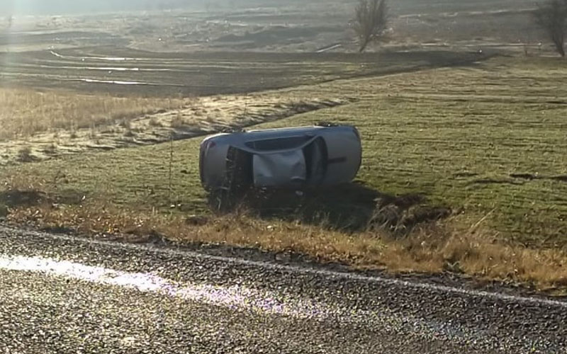 Tarlaya yuvarlanan otomobilin sürücüsü yaralandı