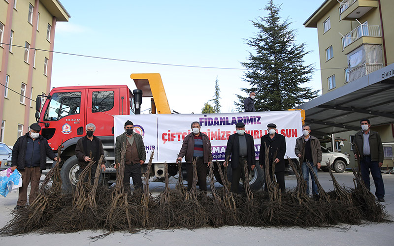 Büyükşehir’den üreticilere ceviz fidanı
