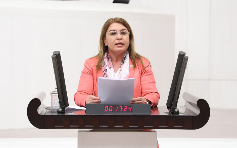 Karaca’dan intiharları araştırma önergesi