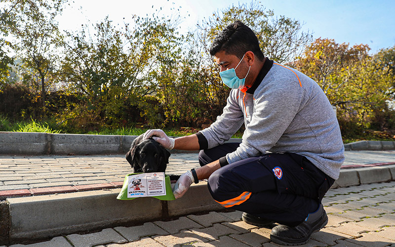 Büyükşehir Belediyesi ekipleri, sokak hayvanları için mamalar bıraktı