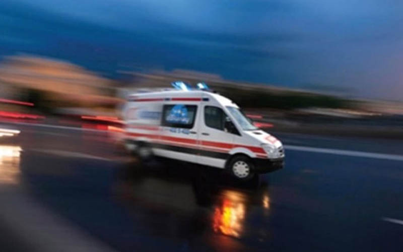 Gurbetçi evinde ölü bulundu