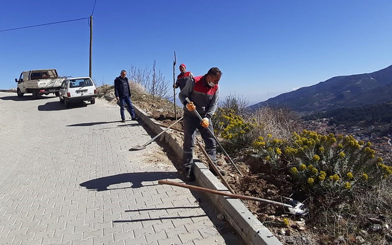 Buldan Belediyesinin ağaçlandırma çalışmaları devam ediyor