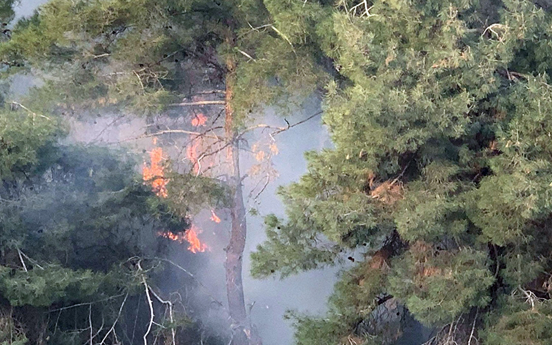 Honaz’daki yangında 3 dekar orman zarar gördü