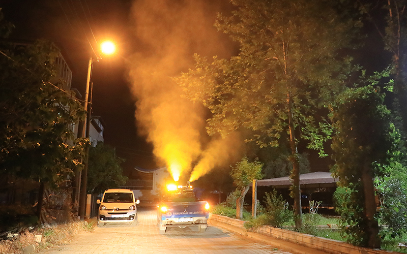 Pamukkale’de sinekle mücadele devam ediyor