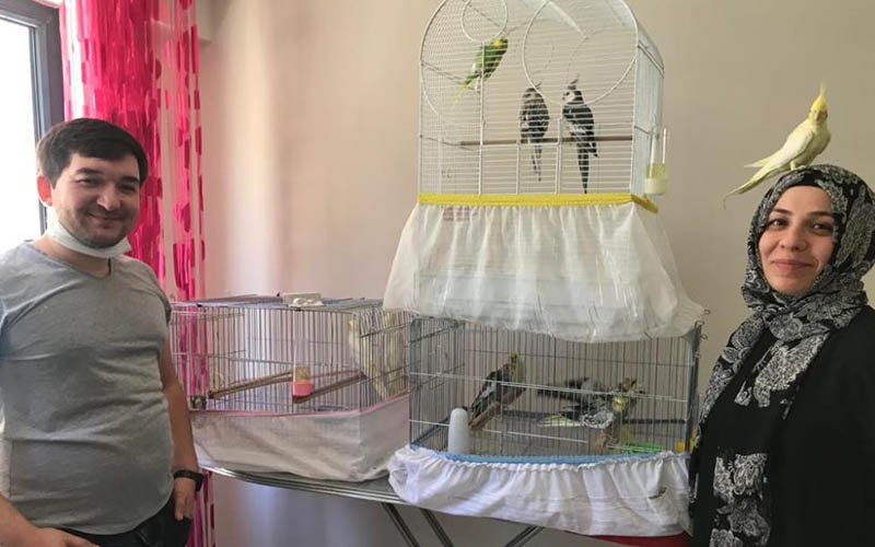 Evlerini papağan yuvasına çeviren çift