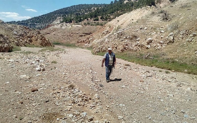 Kuraklık etkisini arttırıyor, Denizli kuruyor