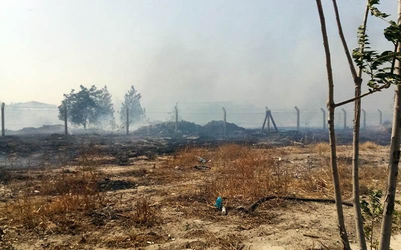 Anız yangını çıktı, fabrika işçileri dumandan etkilendi