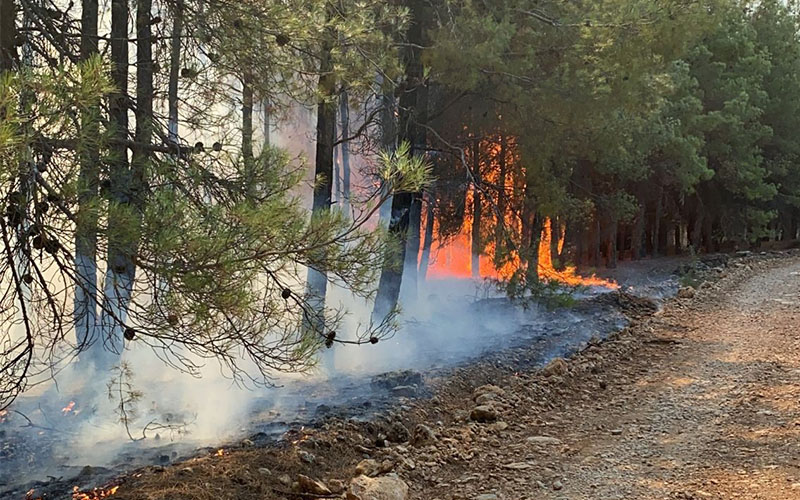 Çal’da orman yangını