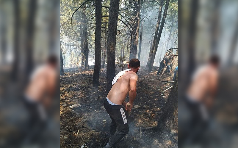 Honaz Milli Parkı’ndaki yangın söndürüldü