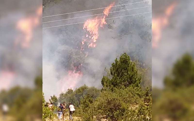 Milli Park’taki yangın kontrol altına alındı