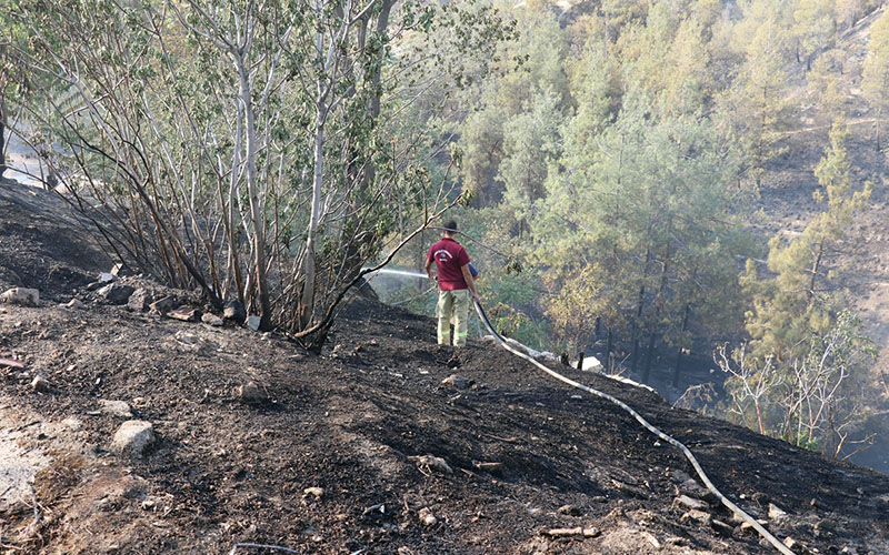 Denizli’de ormanlık alanda yangın