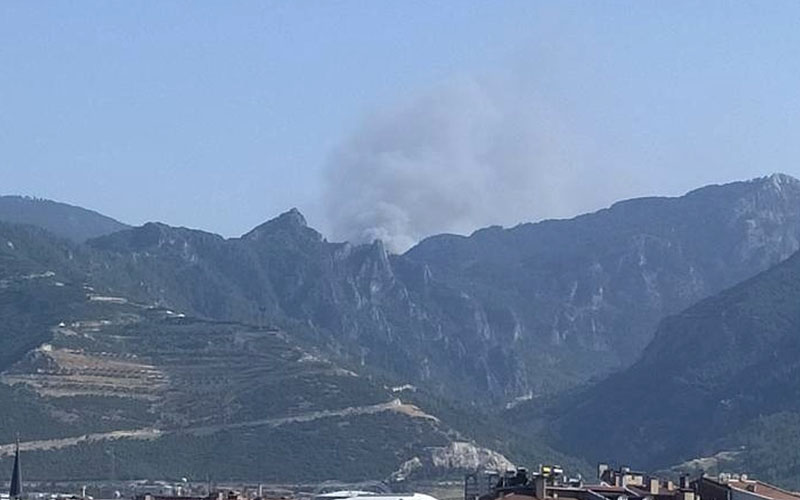 Tavas’ta orman yangını çıktı