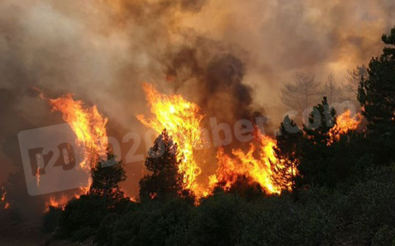 Tavas-Pınarlık’taki yangından ilk görüntüler
