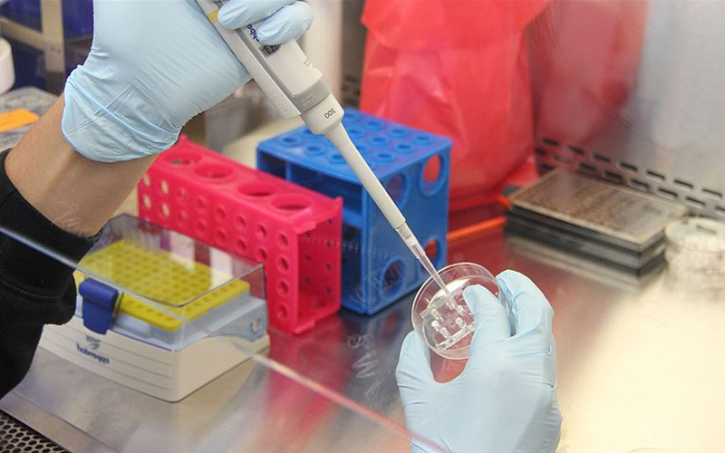 Yüz yüze eğitimde zorunlu olan PCR testi ücretsiz yapılacak