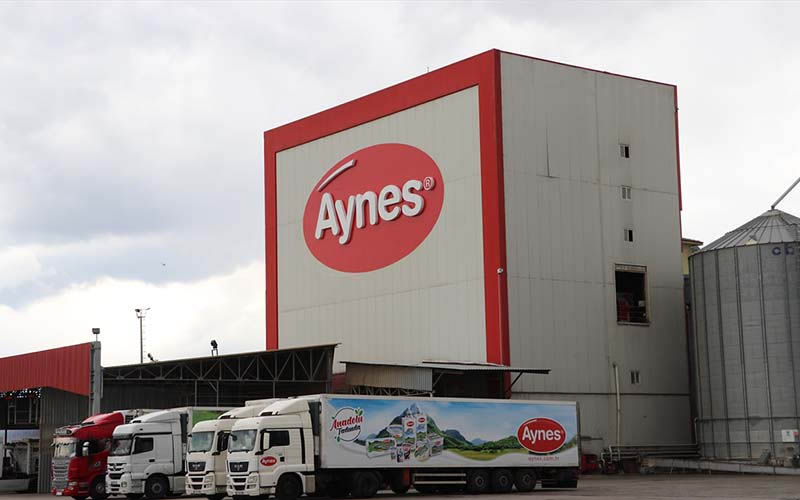 667 milyon liraya satışa çıkarılan Aynes’e 300 milyon lira teklif verildi