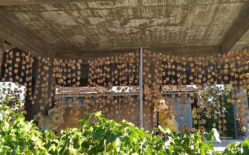 650 kilogram Trabzon hurması çaldığı iddia edilen kişi yakalandı