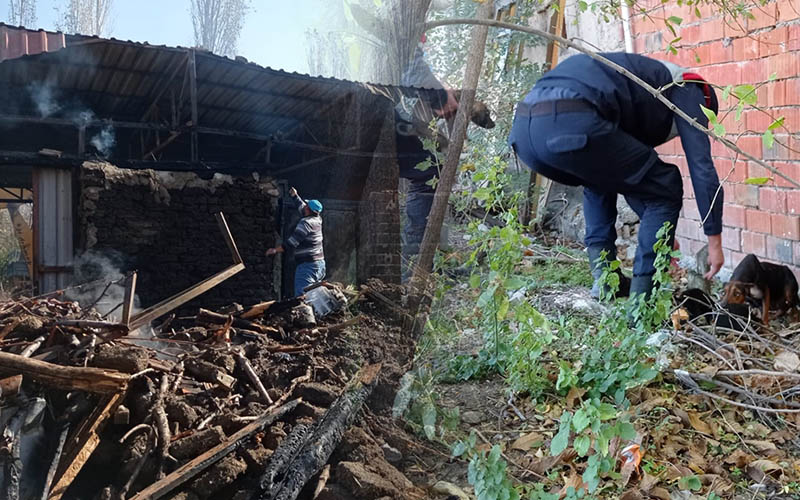 Yangında mahsur kalan köpekleri jandarma kurtardı