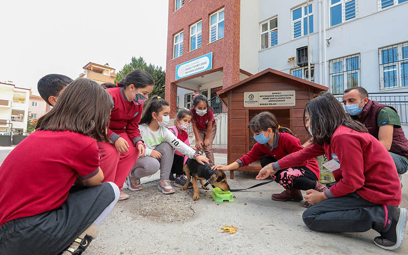 Her okula bir sokak köpeği projesi 25 okula ulaştı