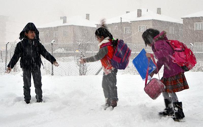 Kar nedeniyle bazı ilçelerde okullar tatil edildi