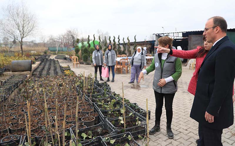 Pamukkale Belediyesi, çiçek ve fidanlarını kendisi yetiştiriyor