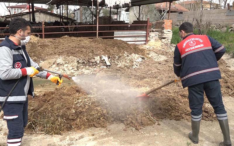 Pamukkale Belediyesi karasinekle mücadelesini sürdürüyor