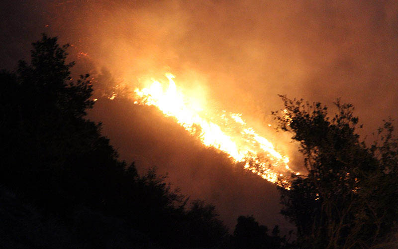 İçişleri Bakanlığından orman yangınları genelgesi