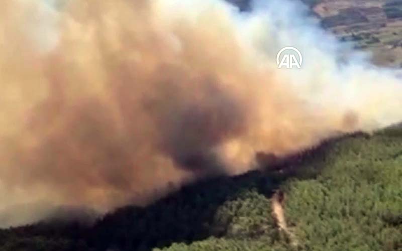Denizli-Muğla sınırında orman yangını çıktı