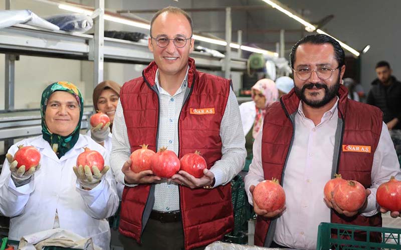 Örki: Denizli Ayvası ve narı için coğrafi işaret alma çalışmalarına başladık