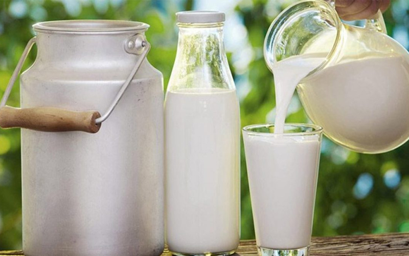 Çiğ süt hijyeni ve iyi üretim uygulamaları eğitimi verilecek