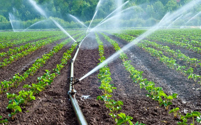 Çiftçilere sulama sistemleri desteği sağlandı