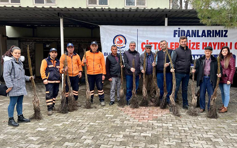 7 ilçede 15 bin ceviz fidanı dağıtılacak