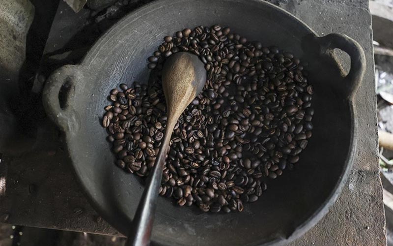 Dünyanın en pahalı kahvesi, Misk kedisinin midesinde mayalanıyor