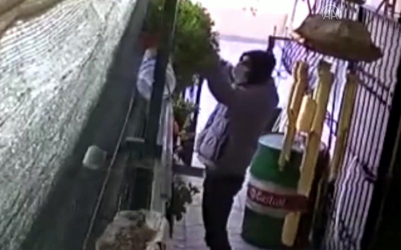 Çiçek çalan hırsız güvenlik kamerasına yakalandı