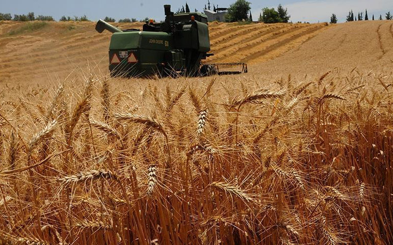 Buğday alımındaki düşük fiyatlar sebebiyle ‘üretici buğdaydan vazgeçebilir’ uyarısı