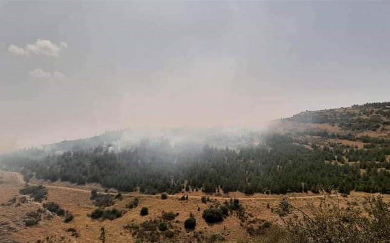 Makilik alanda yangın
