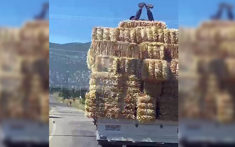 Samanların üzerinde tehlikeli yolculuk