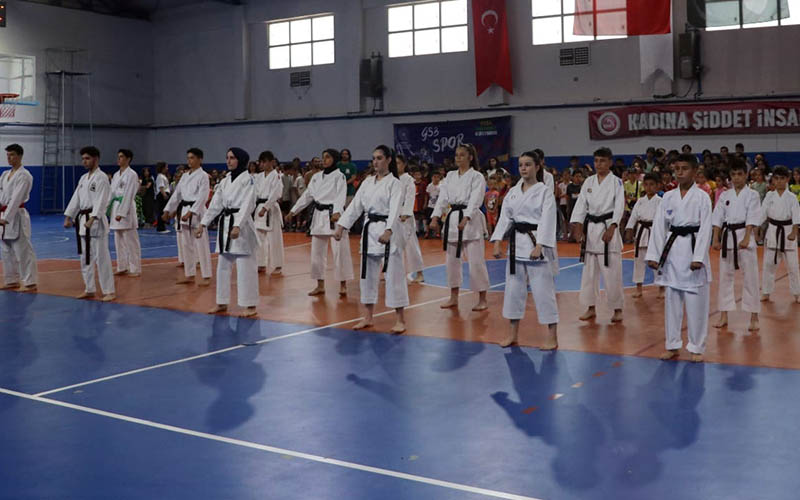 Sarayköy’de 14  branşta ücretsiz spor kursu