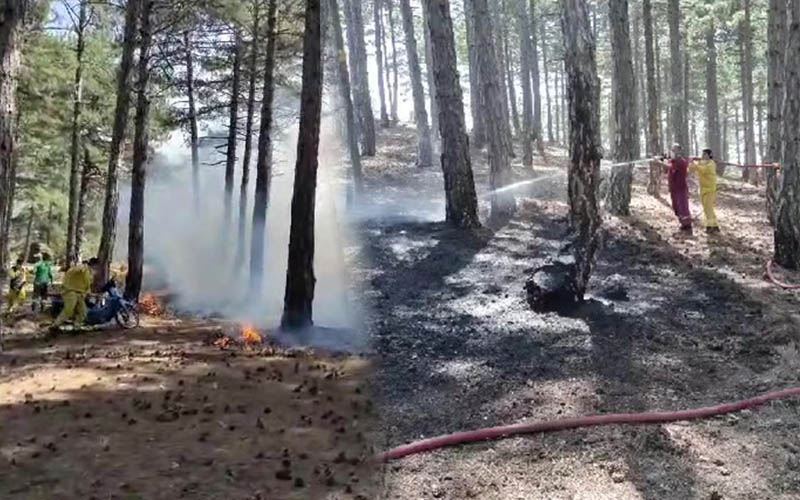 Honaz’daki Milli Park’ta orman yangını