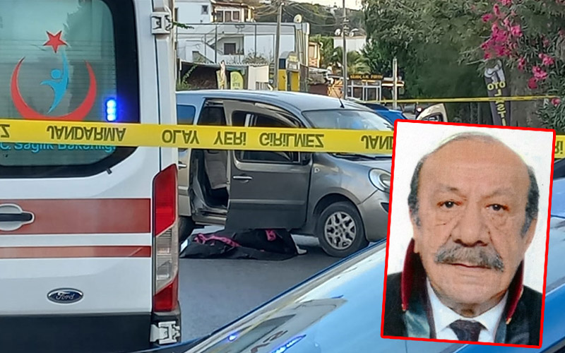 Türkiye Barolar Birliğinden katledilen Avukat Erdal Çam için eylem