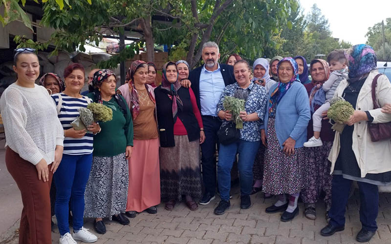 Kekik üreticisi şaşkın, Berberoğlu’ndan yetkililere çağrı
