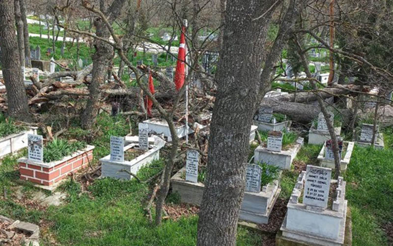 Yıkılan ağaçlar mezarlara zarar verdi