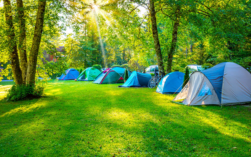 Doğan: Doğa ve macera severler için kamp ve zipline merkezi açılacak