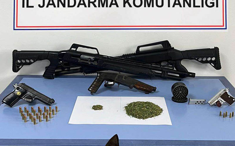 Jandarmadan 3 ilçede operasyon, 11 kişi yakalandı