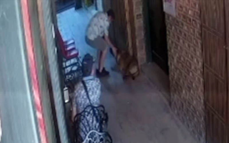 Sevmek istediği sahipsiz köpek ısırdı, elinden yaralandı