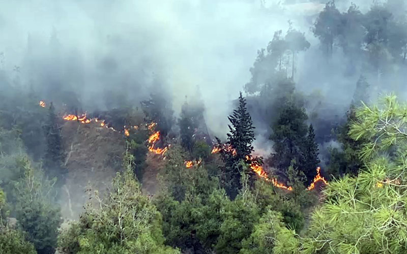 Pamukkale’deki orman yangını kontrol altına alındı, 35 hektar zarar gördü