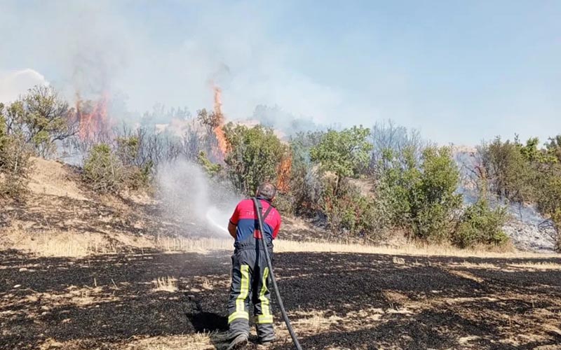 Tarlada başlayan yangın makilik alana sıçradı