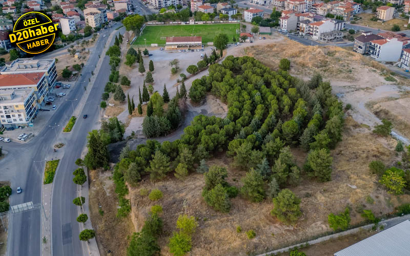 Spor alanı ve çamlarla kaplı arsada imar planı değişikliği